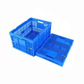 Mesh Collapsible Plastic Crates For frutta e lo stoccaggio delle verdure