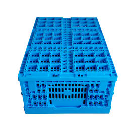 Alimento fresco che carica le casse pieghevoli di plastica 600*400*240 millimetro Mesh Structure