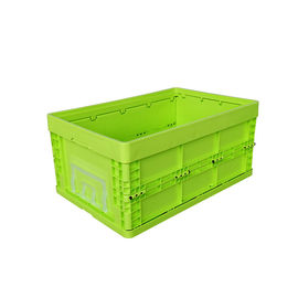 Recipienti di plastica pieghevoli di verde di dimensione standard/scatola di plastica pieghevole