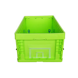 Recipienti di plastica pieghevoli di verde di dimensione standard/scatola di plastica pieghevole