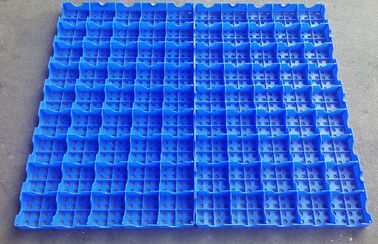 Mesh Floor Plastic Export Pallets che collega capacità di carico alta di pulizia facile