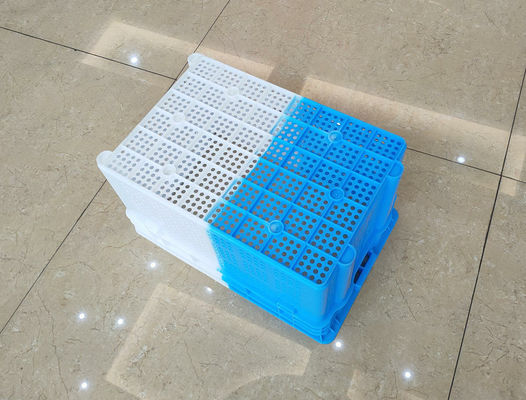 Doppio colore che spedisce le gabbie di plastica sistemabili per la frutta e le verdure