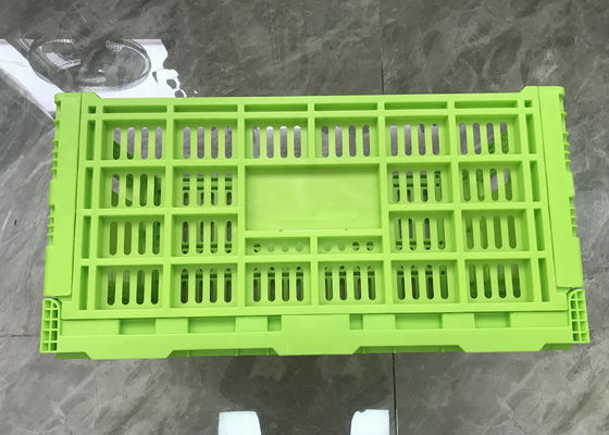 Altezza del vergine pp 300mm delle gabbie di plastica della frutta e di verdura del commestibile