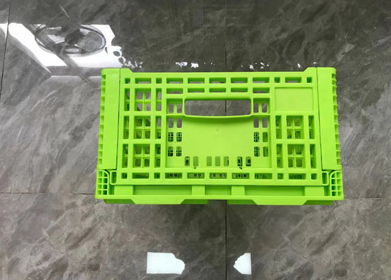 Gabbie di plastica pieghevoli di volume d'affari verde con Mesh Base Light Weight