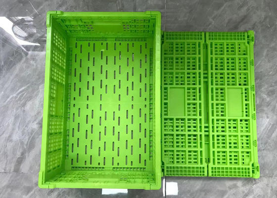Gabbie di plastica pieghevoli di volume d'affari verde con Mesh Base Light Weight