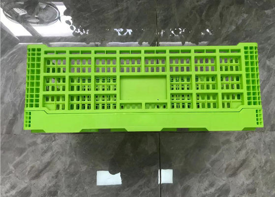 Gabbie di plastica pieghevoli di volume d'affari verde con Mesh Base Light Weight