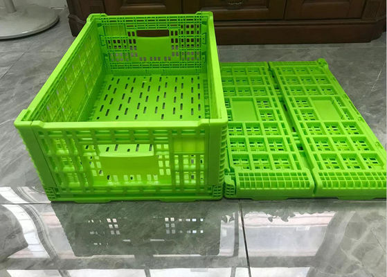 Gabbie di plastica pieghevoli di volume d'affari verde con Mesh Base Light Weight