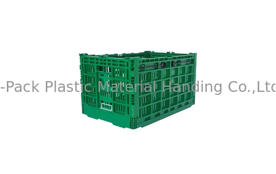 Grande gabbia di plastica pieghevole verde su ordinazione per il materiale di verdure del vergine pp della frutta