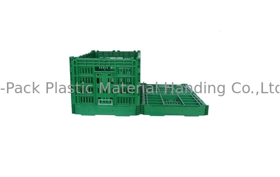 Grande gabbia di plastica pieghevole verde su ordinazione per il materiale di verdure del vergine pp della frutta
