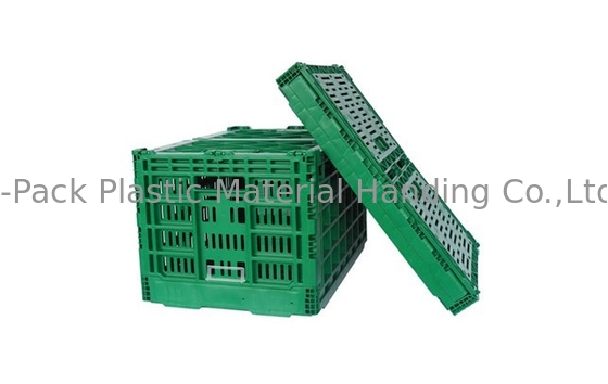 gabbie di plastica resistenti della frutta e di verdura del vergine pp di 3.4kg 100%