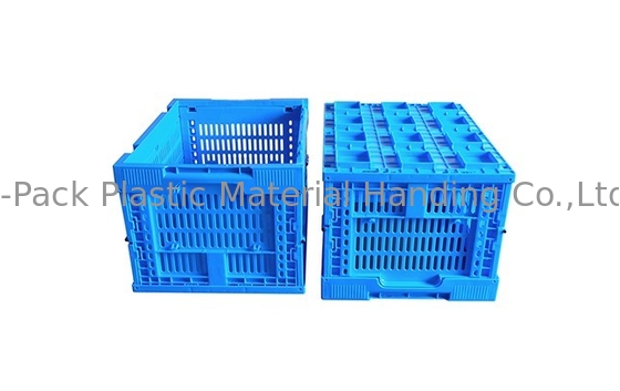 Gabbie di plastica blu 400*300mm di piccola dimensione di verdura e della frutta