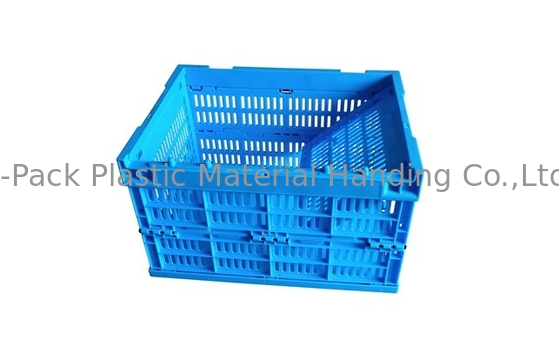 Gabbie di plastica blu 400*300mm di piccola dimensione di verdura e della frutta
